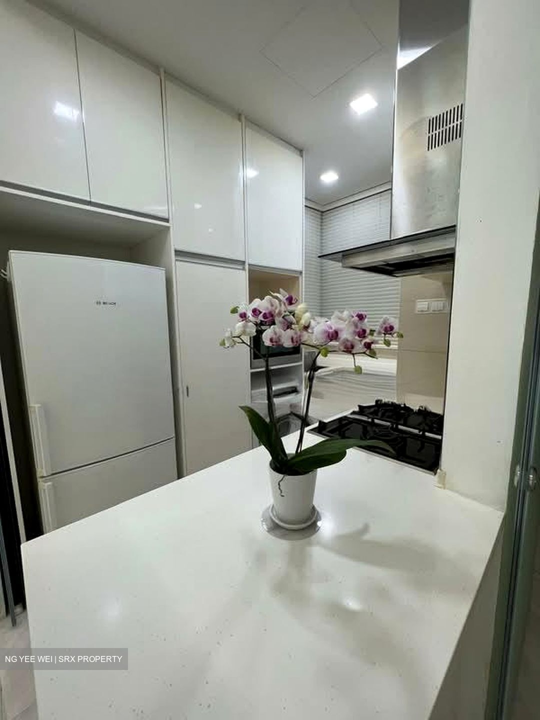 Floridian (D21), Condominium #545941691